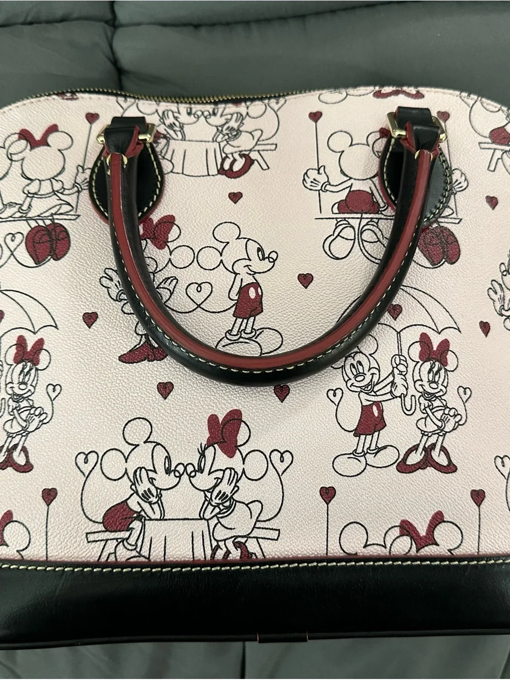 Dooney & Bourke charming dome